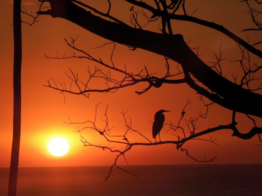 sunsetperu